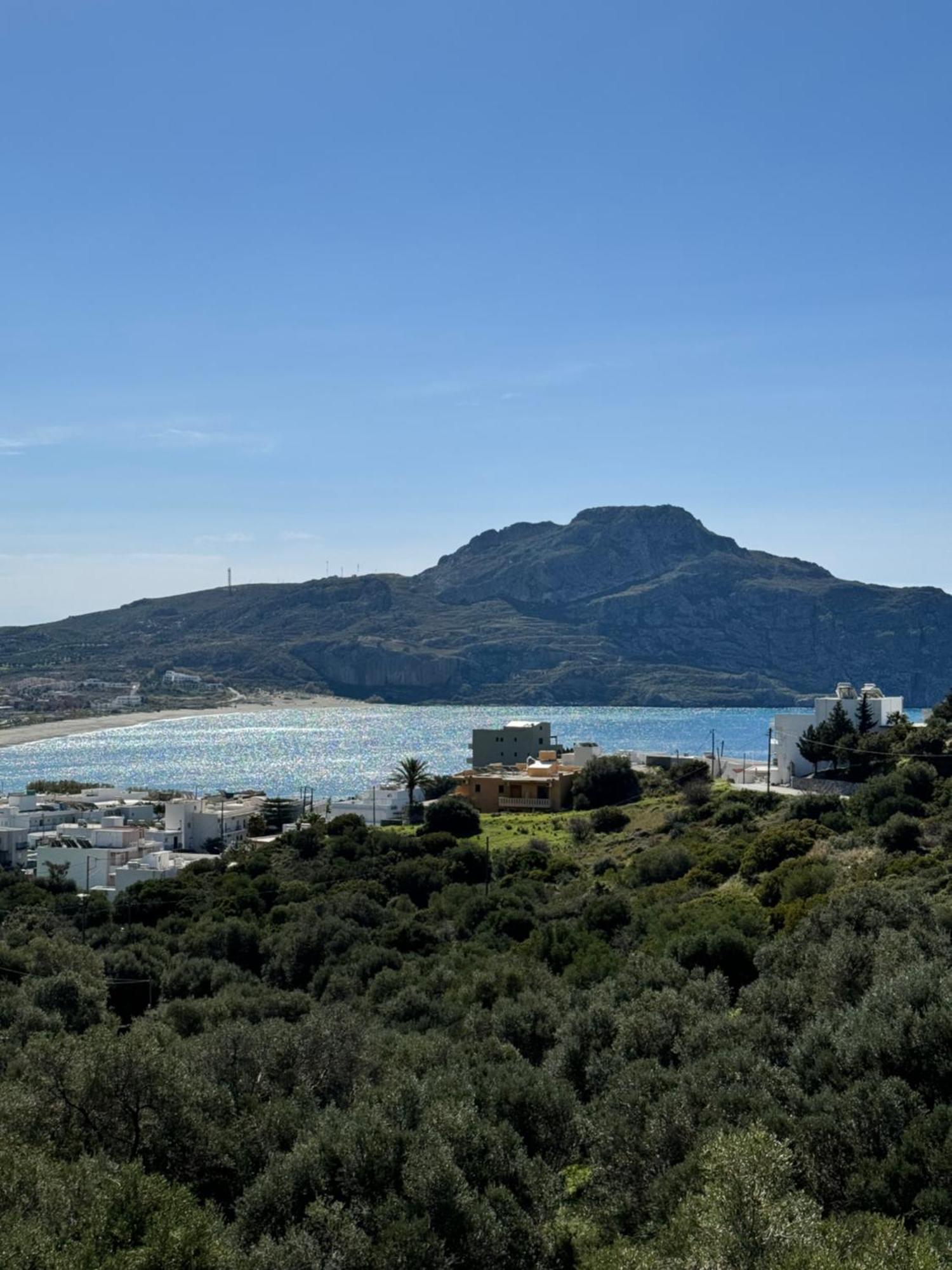 Olive Grove Apartment Plakias Exterior photo