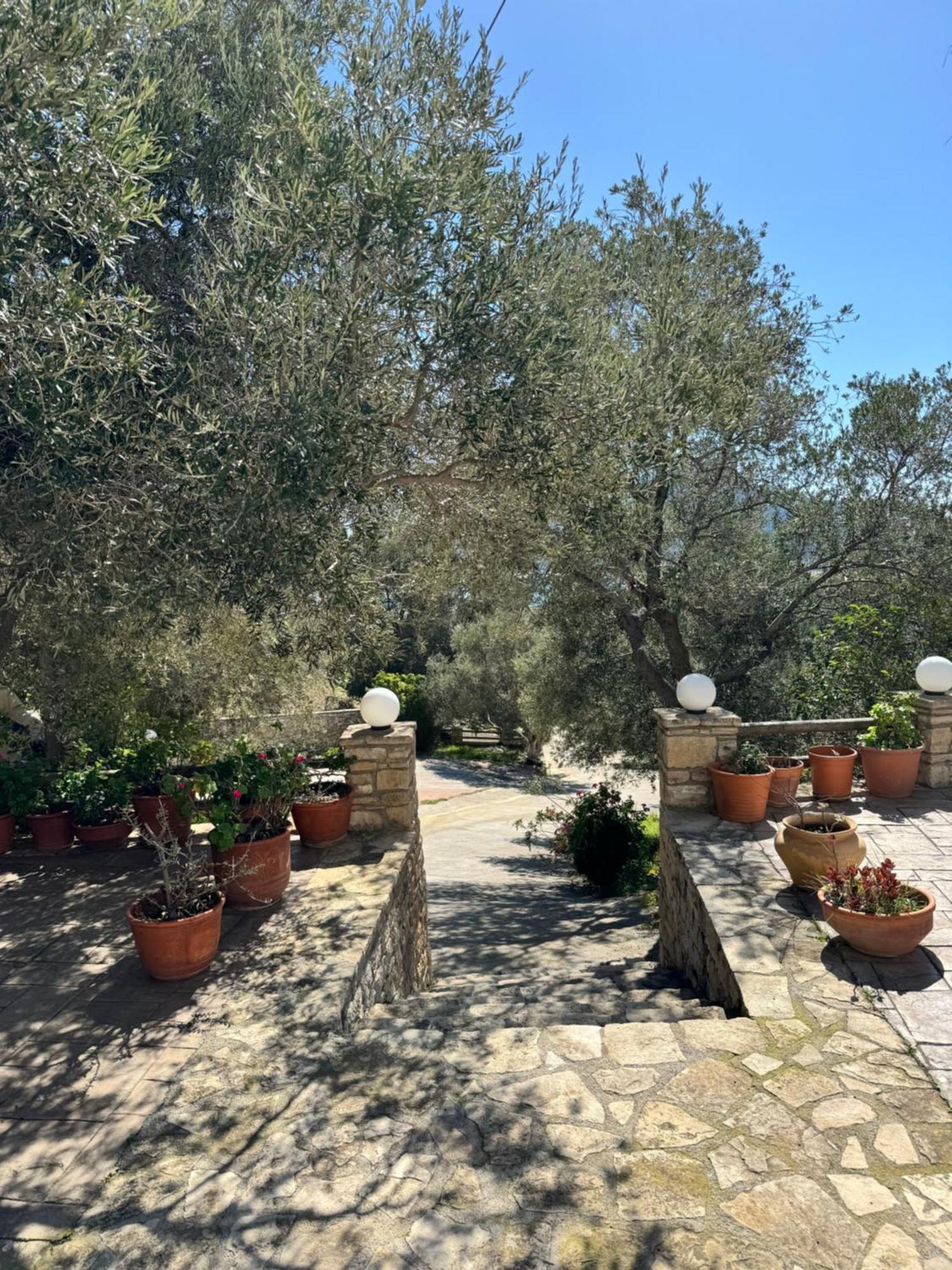 Olive Grove Apartment Plakias Exterior photo